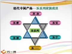 泰康乐系列乐康乐福乐宁乐宝乐金产品介绍51页.ppt