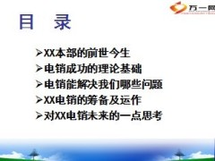 电销的筹备及运作未来思考15页.ppt