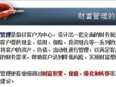 新形势下的财富管理对策产说会34页.ppt