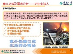 泰康农信社对公业务贷款法人安全险宣导17页.ppt