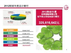 友邦保险2012理赔数据分析报告.zip
