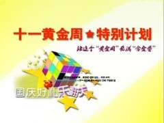 2013年十一国庆黄金周特别业务方案19页.ppt