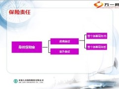 农银人寿爱永远定期寿险产品要素13页.ppt