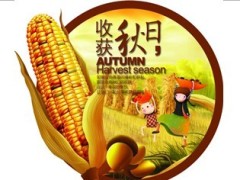 2013年十月金秋联动营销战略宣导45页.ppt