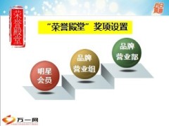 保险公司绩优荣誉体系梳理26页.ppt