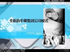全新的华康集团公司模式12页.ppt