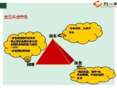 长城人寿金玉年金卖点目标市场销售面谈38页.ppt