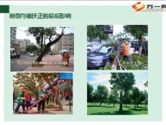 保费部专员队伍作业辅导培训34页.ppt