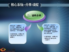 续期系统操作解析-核心系统34页.ppt