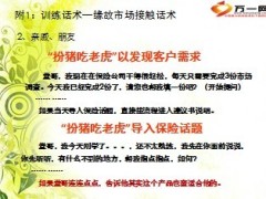 百日聚惠工具使用话术19页.ppt
