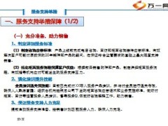 百日聚惠活动客户服务支持措施13页.ppt