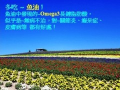 养身健康知识26页.pps