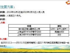 2013年11月份城区组织发展浓缩版方案启动11页.ppt