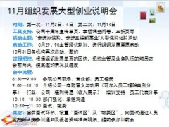 组织发展大型创业说明会安排及话术4页.ppt