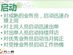 保险营销团队筹备操作准备计划筛选行动复制追踪启动29页.ppt