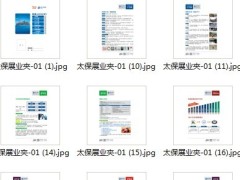 太平洋保险太保寿展业夹.zip