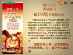 2013年数字看中国人寿10页.ppt
