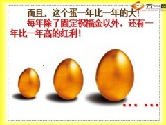 太平洋鸿发年年金母鸡话术19页.ppt
