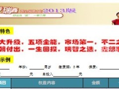 中国人寿新瑞鑫计划书手工修改版1页.doc