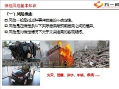 保险运营风险管理组织架构管理要求61页.ppt