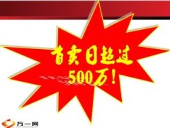 中国人寿福寿年年限时限量销售启动29页.ppt