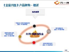 建信人寿银保金富月盈保险介绍特色话术17页.ppt