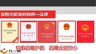 法律与保险24页.ppt
