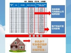 生命人寿智赢一生产品的异议问题及处理话术13页.ppt