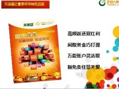 天安人寿天保盈之富贵年年产品讲解19页.ppt
