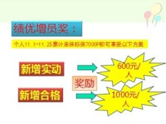 2013年年末增员奖励方案21页.ppt