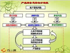 产品险种组合建议书设计理念41页.ppt