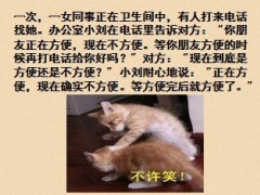 保险公司快乐早会2013年10月30日12页.ppt