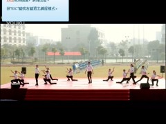 视频又一神曲舞蹈狐狸叫.zip