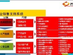 保险专业销售支持系统培训支持系统介绍3页.ppt