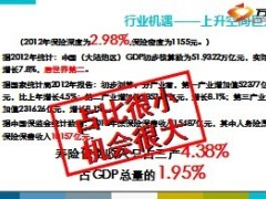 2013保险行业机遇发展展望12页.ppt