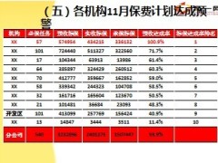 2013年11月及全年业务进度KPI分析35页.ppt