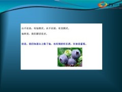 每日快乐早会2013年11月8日17页.ppt