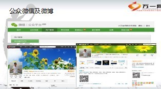 新媒体营销微信微博网络铸就寿险个人品牌34页.ppt