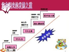 新人的发展之道和培养计划阳光人寿19页.ppt