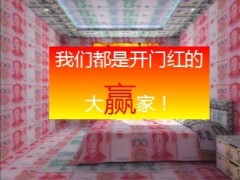 2014保险代理公司开门红启动大会16页.ppt