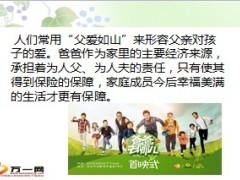 爸爸去哪儿走红年轻爸爸如何买保险9页.ppt