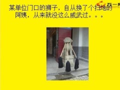 每日快乐早会2013年11月19日11页.ppt