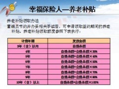 新华保险营销员保险保障养老金补贴11页.ppt