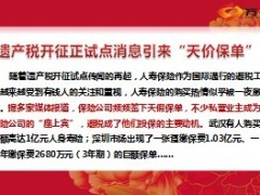 从法律视角解读人寿保险与遗产税13页.ppt