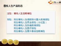 民生中高端市场产品尊悦人生解析特色案列45页.ppt