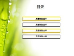 露水清新PPT模板5页.ppt