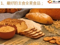 世界卫生组织十大营养食物排名11页.ppt