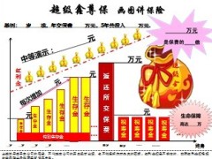 国寿福禄鑫尊豪华至尊版超级超级鑫尊宝图例1页.ppt
