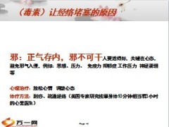 健康专题经络养生学17页.ppt