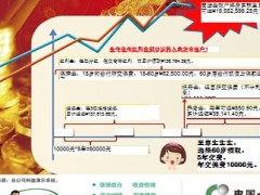 中国人寿金鑫尊豪华版超级鑫尊保自动计划书.zip